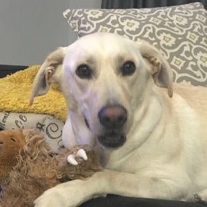 Meet your Posher, Elyse